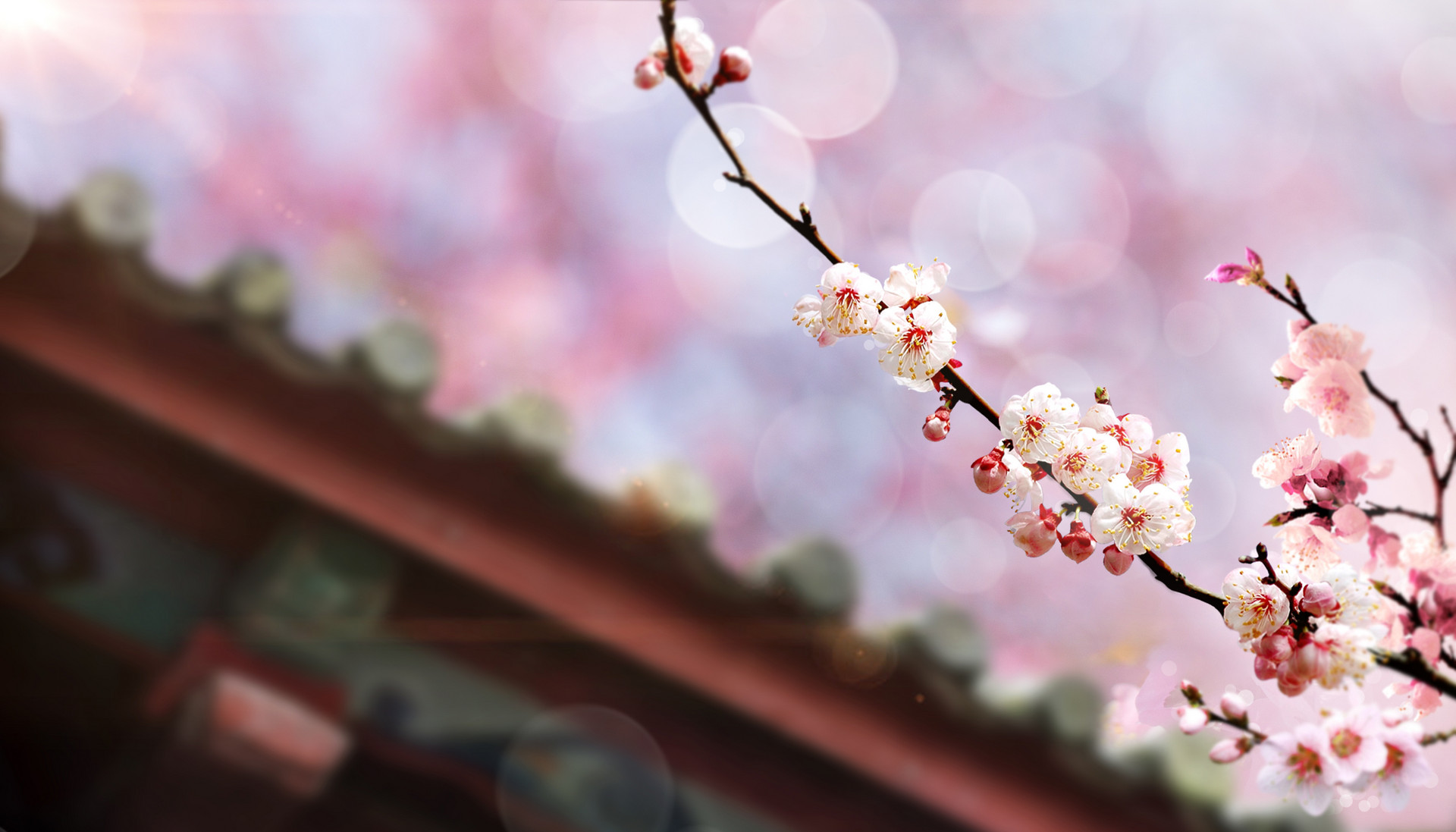 摄图网_400991688_banner.jpg
