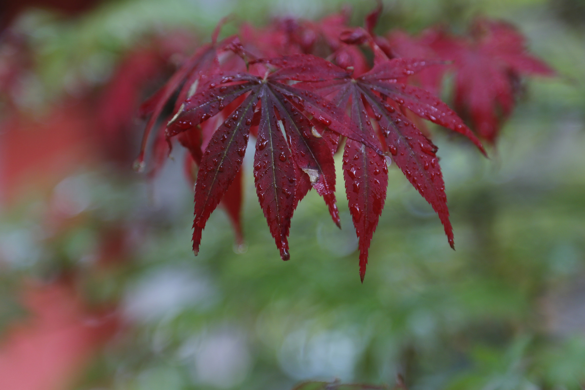 摄图网_500626611_banner.jpg